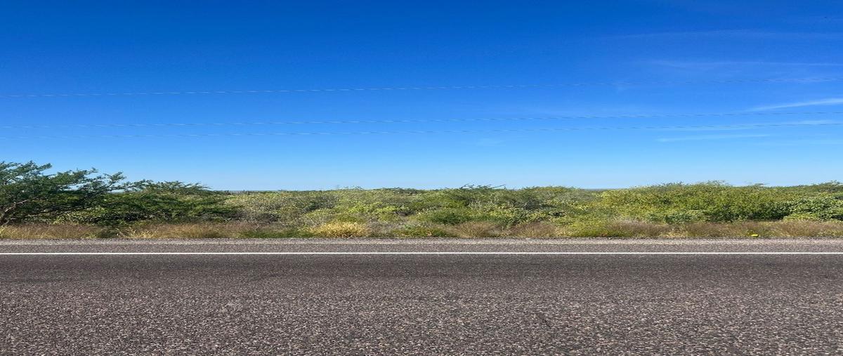 Foto de terreno habitacional en carretera transpeninsular , san pedro, la paz, baja california sur, 27393088 foto 05 Foto de terreno habitacional en venta en carretera transpeninsular , san pedro, la paz, baja california sur, 27393088 No. 05
