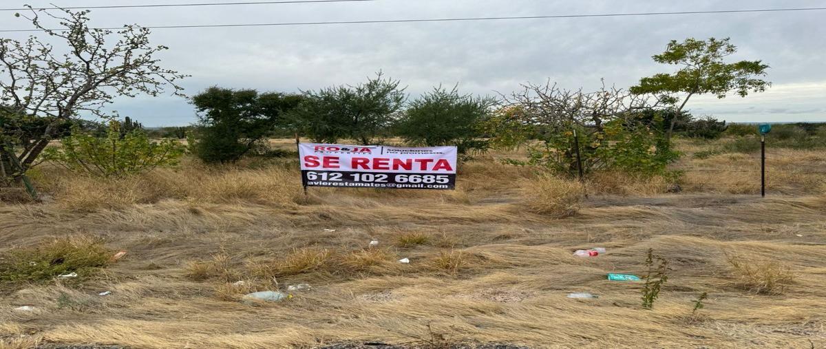 Foto de terreno habitacional en renta en carretera transpeninsular , san pedro, la paz, baja california sur, 27647230 No. 03