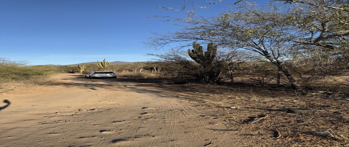 Foto de terreno habitacional en venta en carretera transpeninsular , san pedro, la paz, baja california sur, 29268936 No. 03