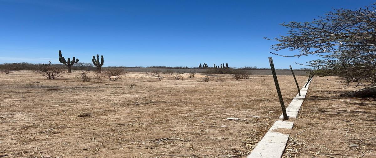 Foto de terreno habitacional en venta en carretera transpeninsular , san pedro, la paz, baja california sur, 30155165 No. 05