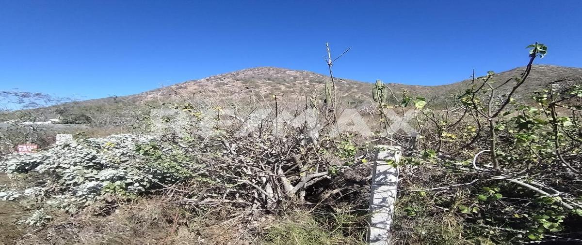 Foto de terreno comercial en venta en carretera traspeninsular kilometro , pescadero, la paz, baja california sur, 0 No. 03