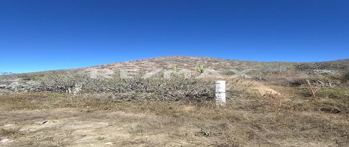 Foto de terreno comercial en venta en carretera traspeninsular kilometro , pescadero, la paz, baja california sur, 0 No. 04