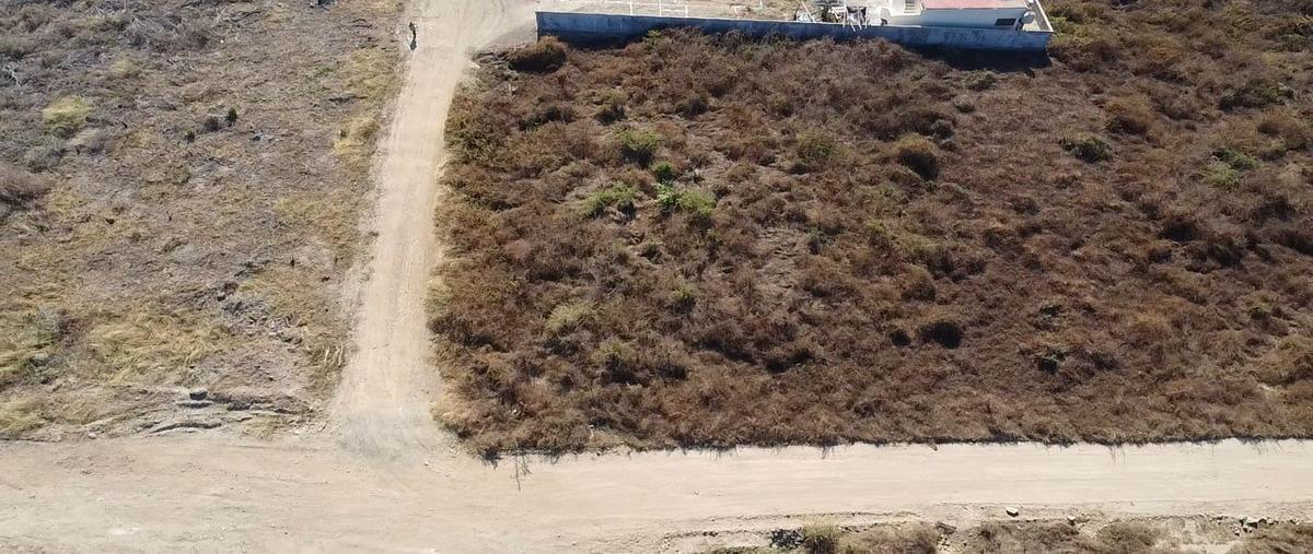 Foto de terreno habitacional en venta en carretera troncones , troncones (emiliano zapata), la unión de isidoro montes de oca, guerrero, 25901443 No. 05