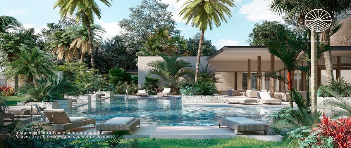 Foto de terreno habitacional en carretera tulum- cncun , tulum centro, tulum, quintana roo, 26039361 foto 04 Foto de terreno habitacional en venta en carretera tulum- cncun , tulum centro, tulum, quintana roo, 26039361 No. 04