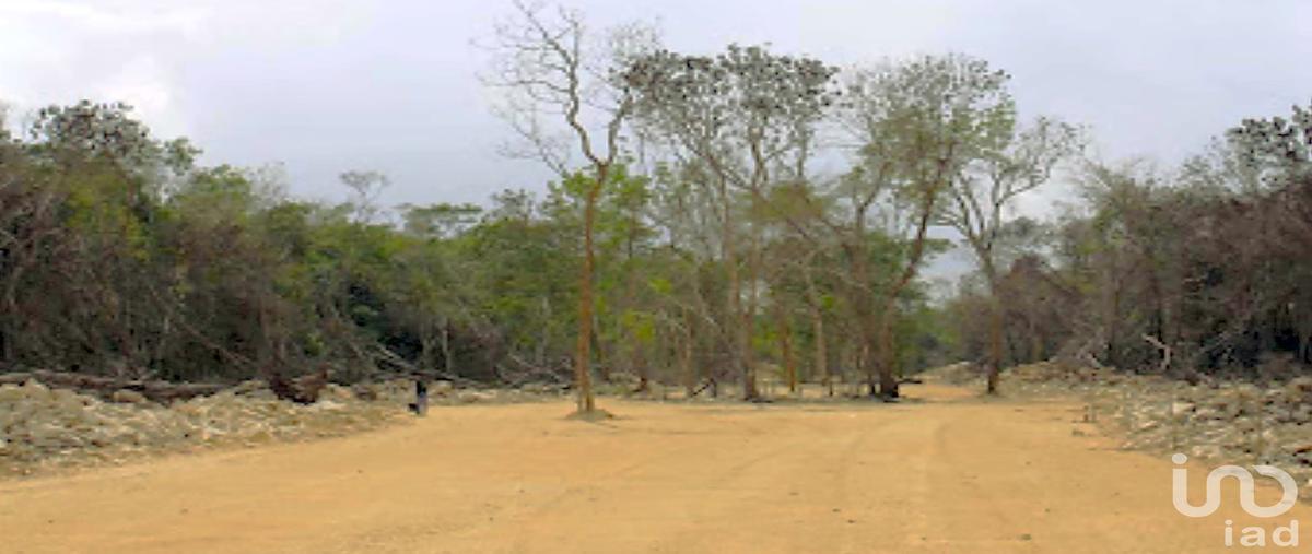 Foto de terreno habitacional en carretera tulum coba kilometro 5 r. 15 , ya ax tulum, tulum, quintana roo, 28720179 foto 03 Foto de terreno habitacional en venta en carretera tulum coba kilometro 5 r. 15 , ya ax tulum, tulum, quintana roo, 28720179 No. 03