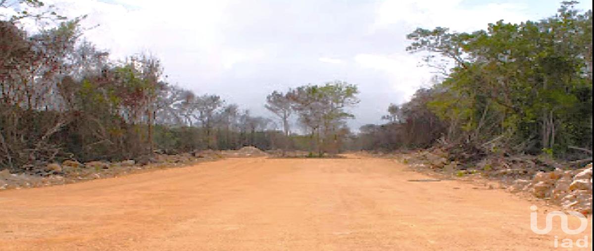 Foto de terreno habitacional en carretera tulum coba kilometro 5 r. 15 , ya ax tulum, tulum, quintana roo, 28720179 foto 05 Foto de terreno habitacional en venta en carretera tulum coba kilometro 5 r. 15 , ya ax tulum, tulum, quintana roo, 28720179 No. 05
