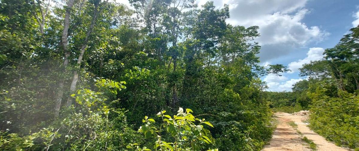 Foto de terreno habitacional en carretera tulum - coba , tulum centro, tulum, quintana roo, 0 foto 02 Foto de terreno habitacional en venta en carretera tulum - coba , tulum centro, tulum, quintana roo, 0 No. 02