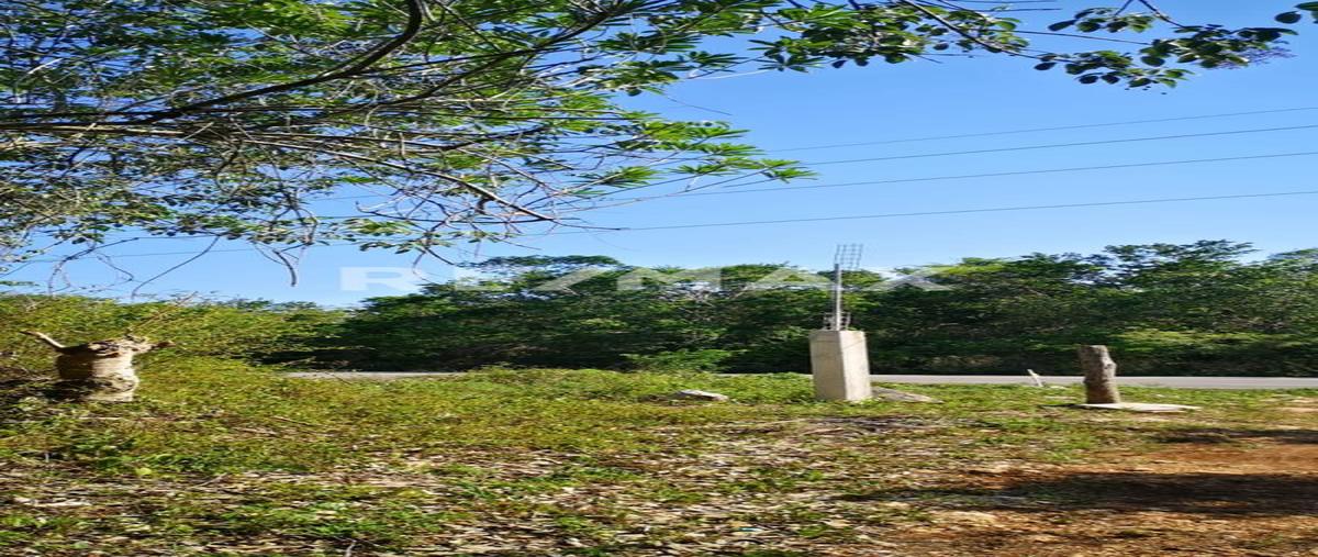 Foto de terreno habitacional en venta en carretera tulum - coba , tulum centro, tulum, quintana roo, 0 No. 03