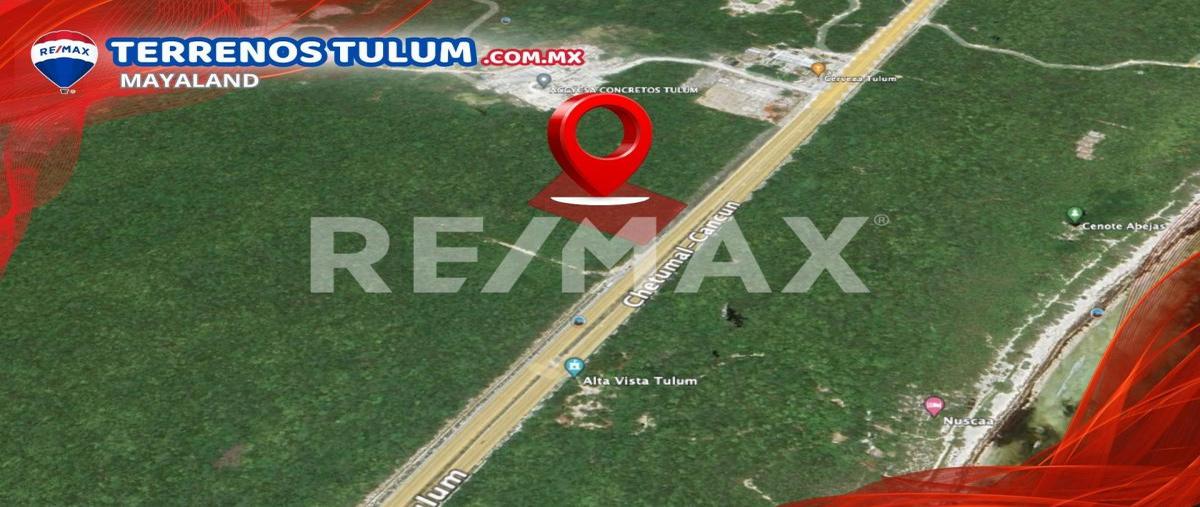 Foto de terreno comercial en venta en carretera tulum , tulum centro, tulum, quintana roo, 26929517 No. 03