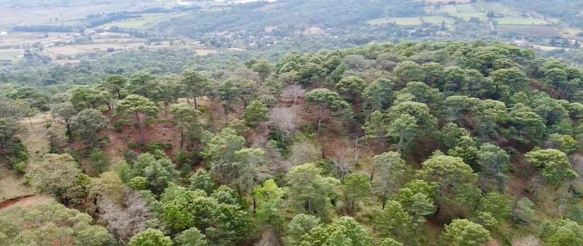 Foto de terreno habitacional en venta en carretera tuxcueca mazamitla , la bragadita, mazamitla, jalisco, 28565910 No. 02