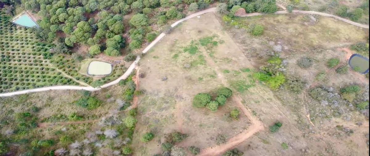 Foto de terreno habitacional en venta en carretera tuxcueca mazamitla , la bragadita, mazamitla, jalisco, 28565910 No. 03