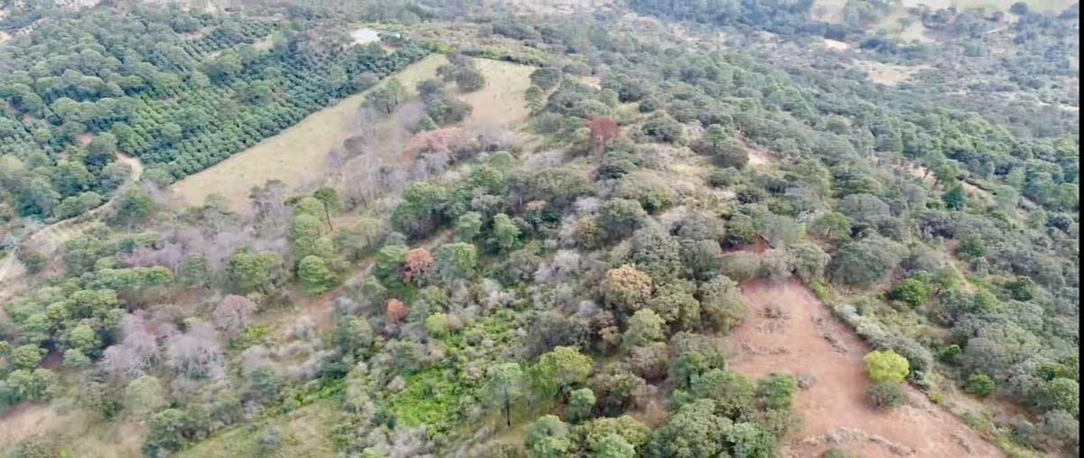 Foto de terreno habitacional en venta en carretera tuxcueca mazamitla , la bragadita, mazamitla, jalisco, 28565910 No. 05