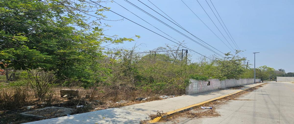 Foto de terreno comercial en venta en carretera tuxpam-tampico , las flores, tampico alto, veracruz de ignacio de la llave, 28174555 No. 03