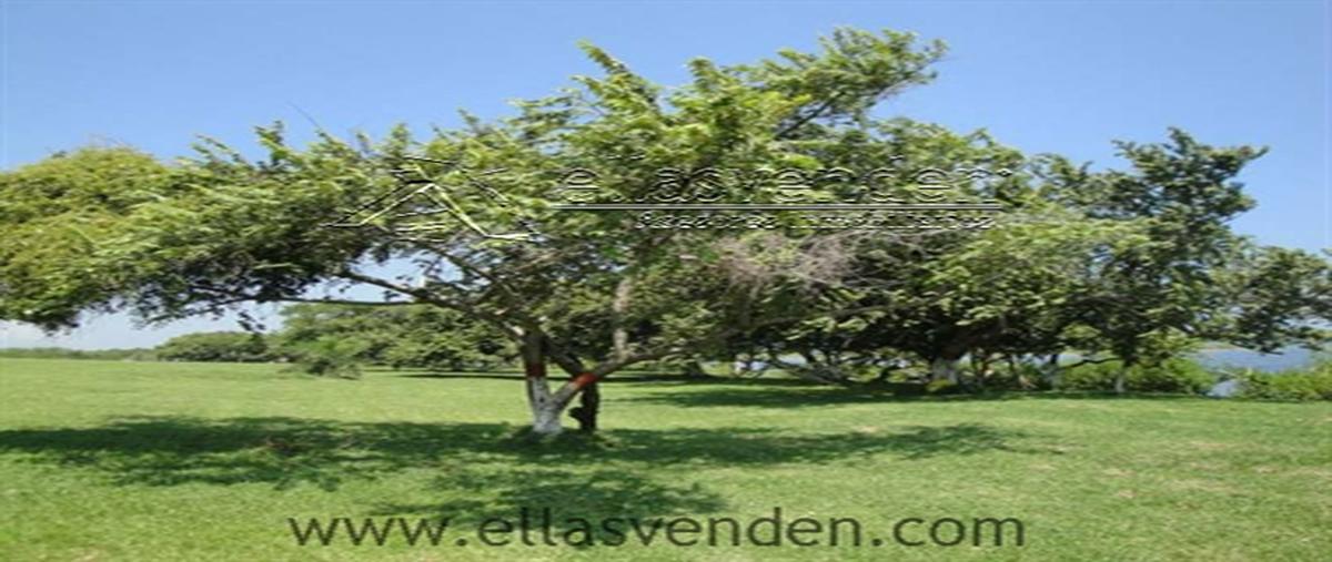 Foto de terreno habitacional en carretera tuxpan tampico 101, tampico alto centro, tampico alto, veracruz de ignacio de la llave, 28010249 foto 05 Foto de terreno habitacional en venta en carretera tuxpan tampico 101, tampico alto centro, tampico alto, veracruz de ignacio de la llave, 28010249 No. 05