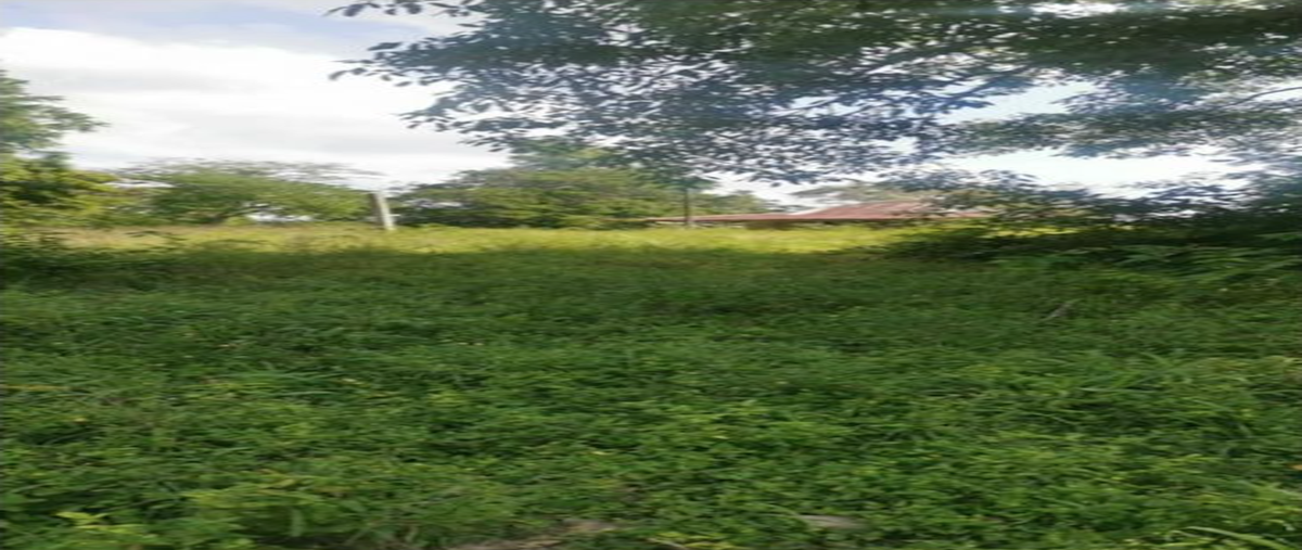 Foto de rancho en venta en carretera tuxpan tampico , zapote gordo, tuxpan, veracruz de ignacio de la llave, 28114007 No. 03