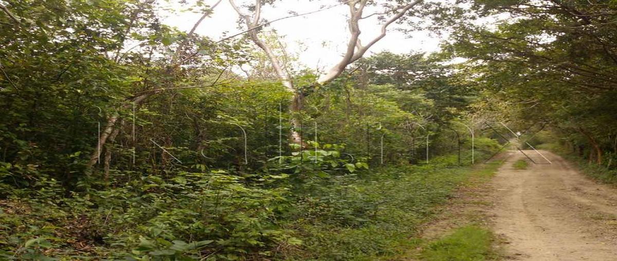 Foto de terreno habitacional en carretera tuxpan-tamiahua 0, tamiahua, tamiahua, veracruz de ignacio de la llave, 8876471 foto 01 Foto de terreno habitacional en venta en carretera tuxpan-tamiahua 0, tamiahua, tamiahua, veracruz de ignacio de la llave, 8876471 No. 01