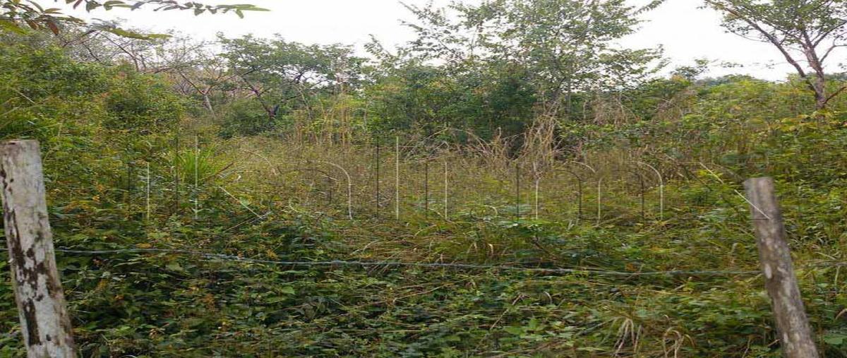 Foto de terreno habitacional en carretera tuxpan-tamiahua 0, tamiahua, tamiahua, veracruz de ignacio de la llave, 8876471 foto 02 Foto de terreno habitacional en venta en carretera tuxpan-tamiahua 0, tamiahua, tamiahua, veracruz de ignacio de la llave, 8876471 No. 02