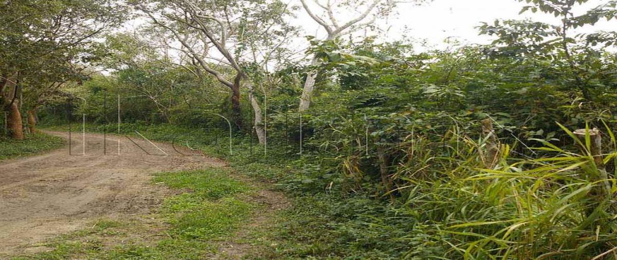 Foto de terreno habitacional en carretera tuxpan-tamiahua 0, tamiahua, tamiahua, veracruz de ignacio de la llave, 8876471 foto 03 Foto de terreno habitacional en venta en carretera tuxpan-tamiahua 0, tamiahua, tamiahua, veracruz de ignacio de la llave, 8876471 No. 03