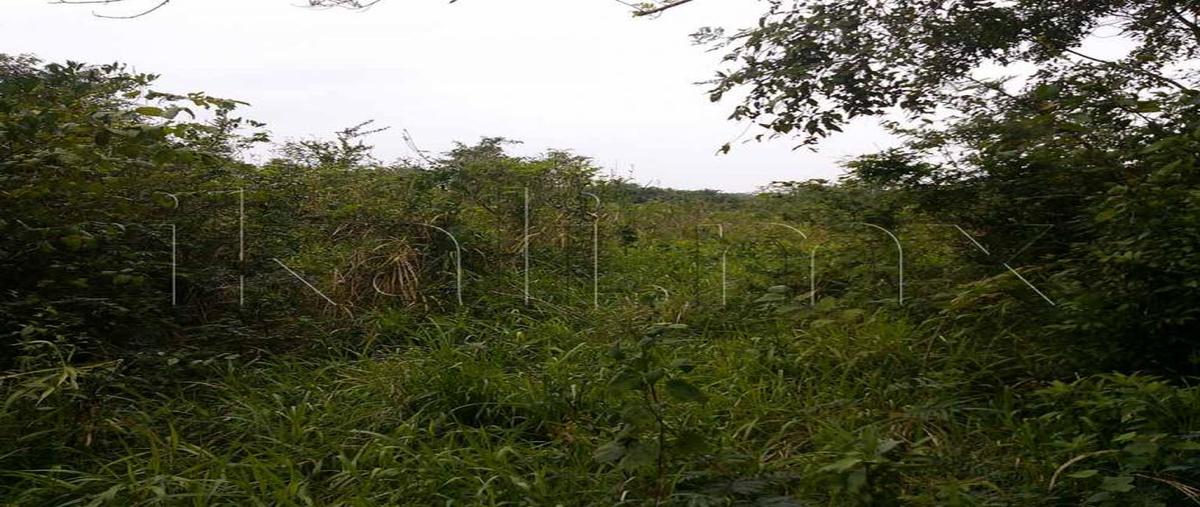 Foto de terreno habitacional en carretera tuxpan-tamiahua 0, tamiahua, tamiahua, veracruz de ignacio de la llave, 8876471 foto 04 Foto de terreno habitacional en venta en carretera tuxpan-tamiahua 0, tamiahua, tamiahua, veracruz de ignacio de la llave, 8876471 No. 04