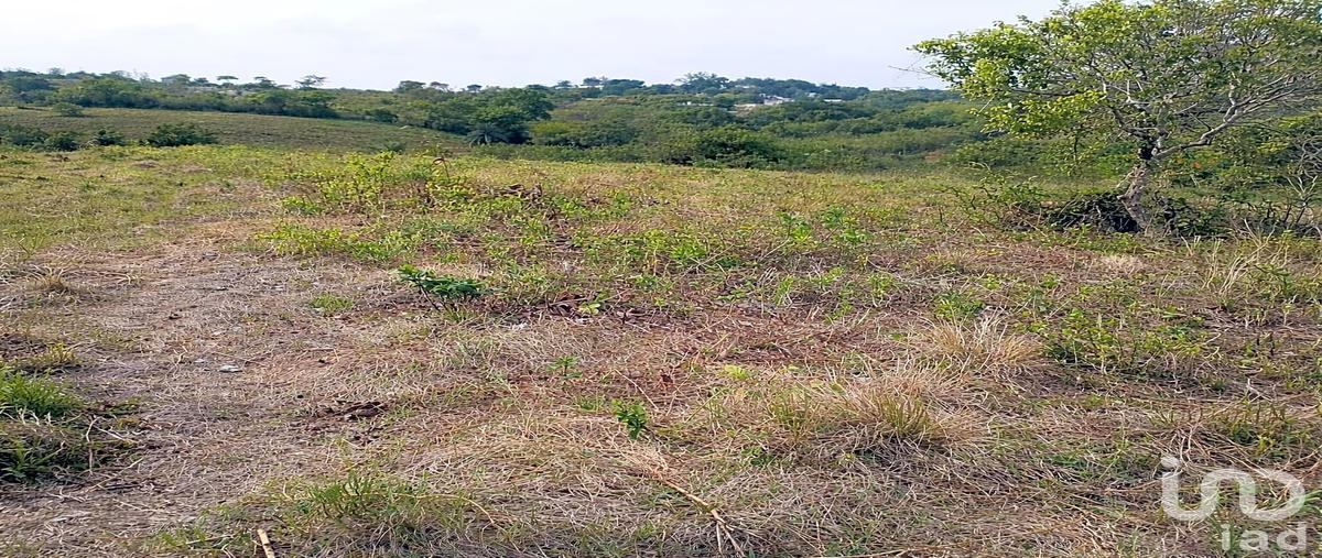 Foto de terreno comercial en venta en carretera tuxpan-tampico , balcazar, tamiahua, veracruz de ignacio de la llave, 0 No. 03