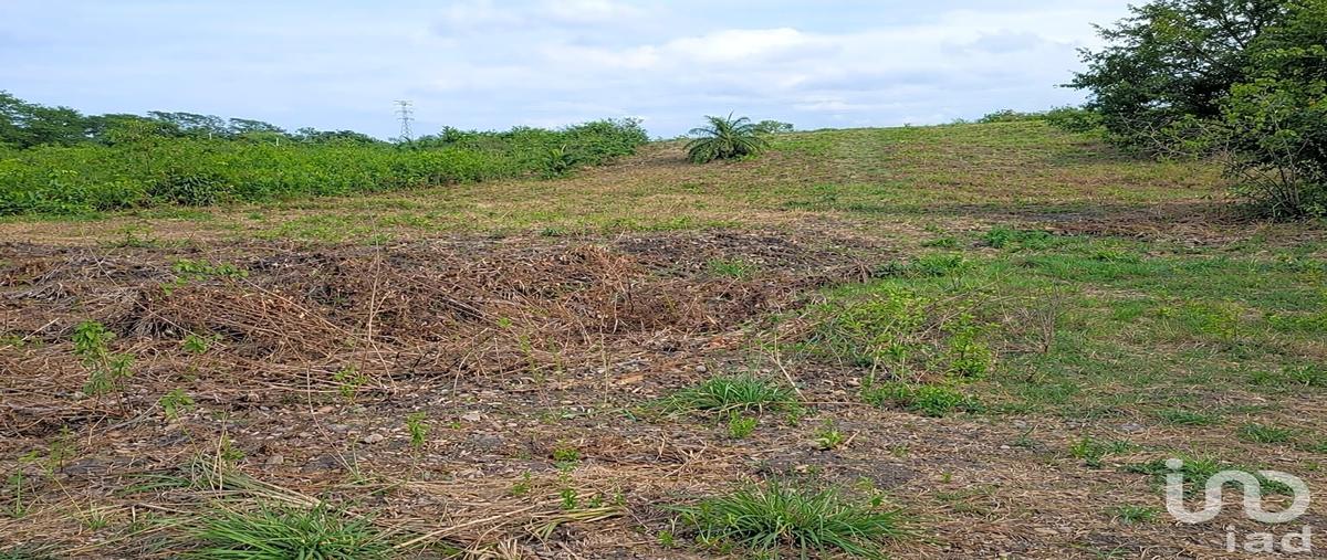 Foto de terreno comercial en venta en carretera tuxpan-tampico , balcazar, tamiahua, veracruz de ignacio de la llave, 0 No. 05
