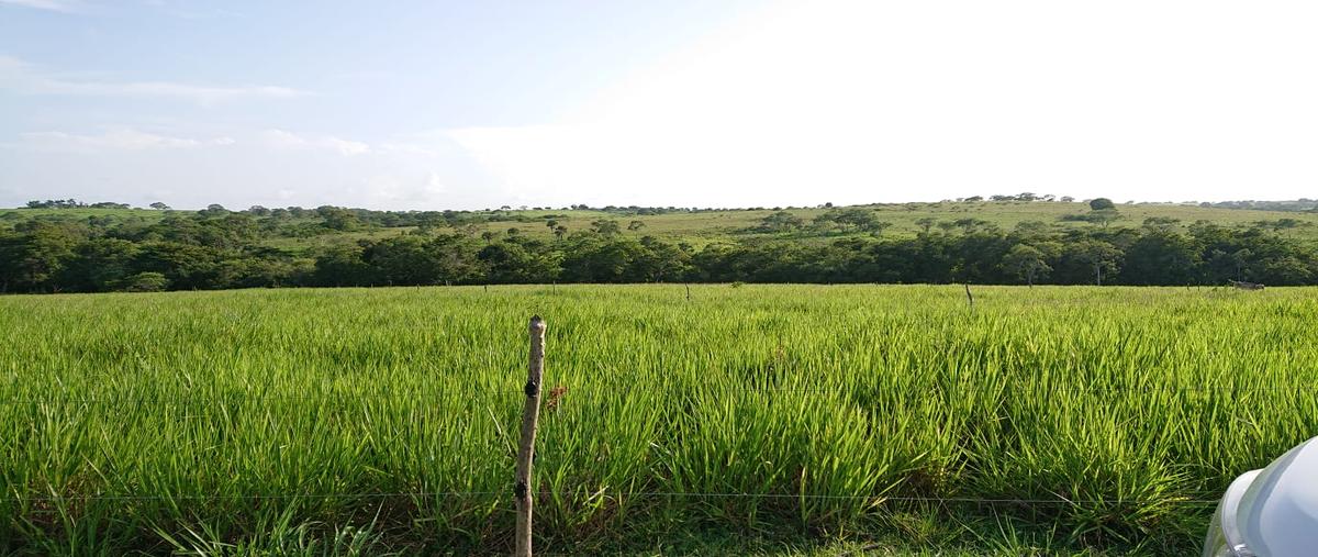 Foto de rancho en venta en carretera tuxpan-tampico , ozuluama de mascareñas, ozuluama de mascareñas, veracruz de ignacio de la llave, 0 No. 03