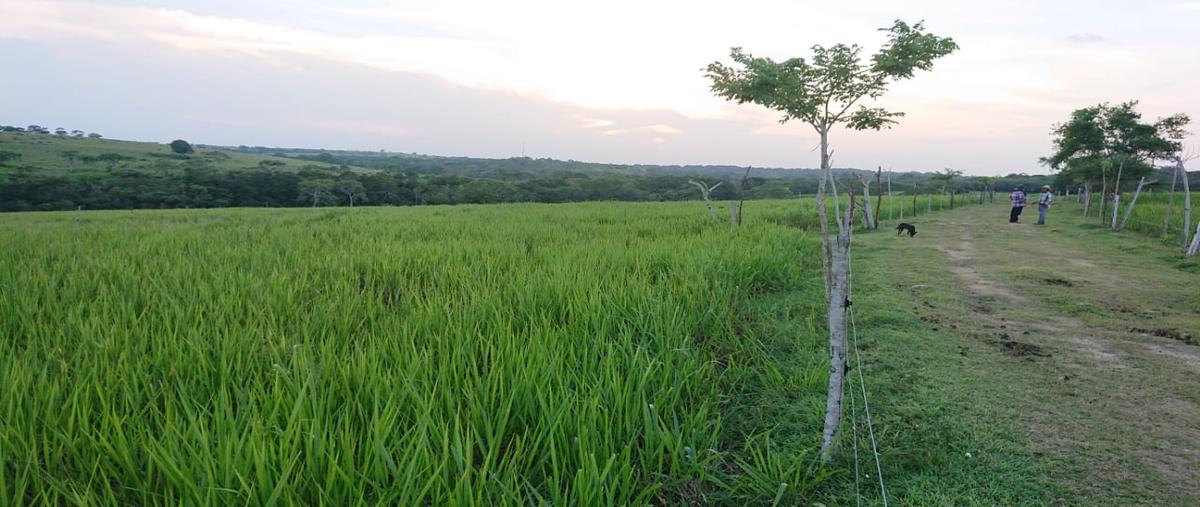 Foto de rancho en venta en carretera tuxpan-tampico , ozuluama de mascareñas, ozuluama de mascareñas, veracruz de ignacio de la llave, 0 No. 04