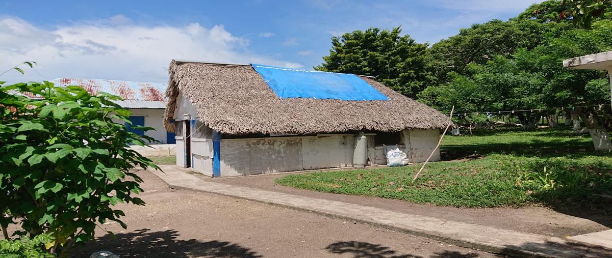 Foto de rancho en venta en carretera tuxpan-tampico , ozuluama de mascareñas, ozuluama de mascareñas, veracruz de ignacio de la llave, 0 No. 05