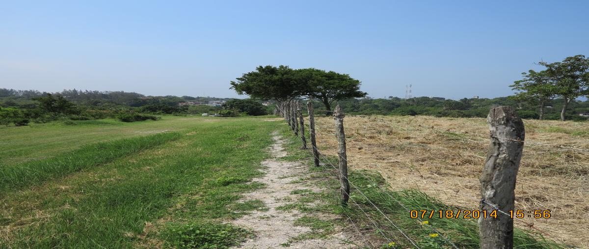 Foto de terreno comercial en carretera tuxpan-tampico , tampico alto centro, tampico alto, veracruz de ignacio de la llave, 0 foto 04 Foto de terreno comercial en venta en carretera tuxpan-tampico , tampico alto centro, tampico alto, veracruz de ignacio de la llave, 0 No. 04