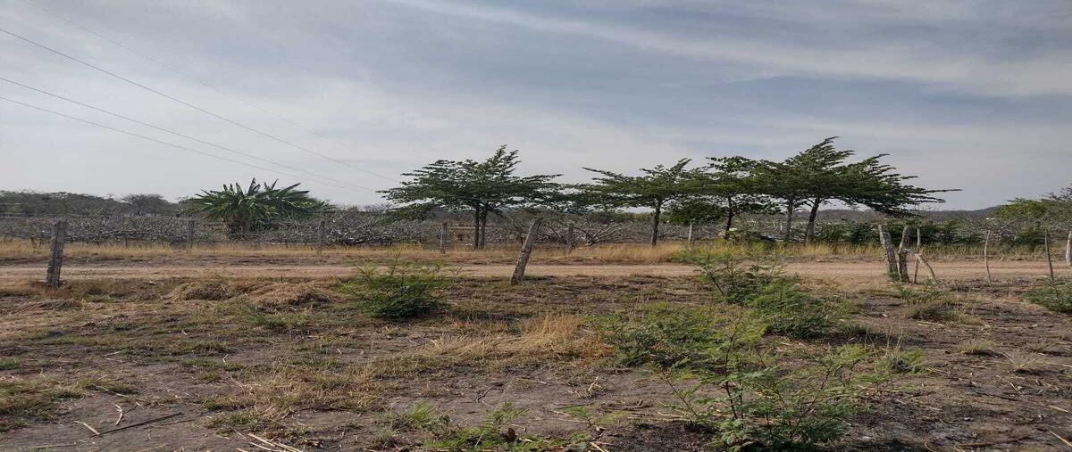 Foto de terreno habitacional en carretera tuxtla -angostura , emiliano zapata, tuxtla gutiérrez, chiapas, 24722397 foto 01 Foto de terreno habitacional en venta en carretera tuxtla -angostura , emiliano zapata, tuxtla gutiérrez, chiapas, 24722397 No. 01