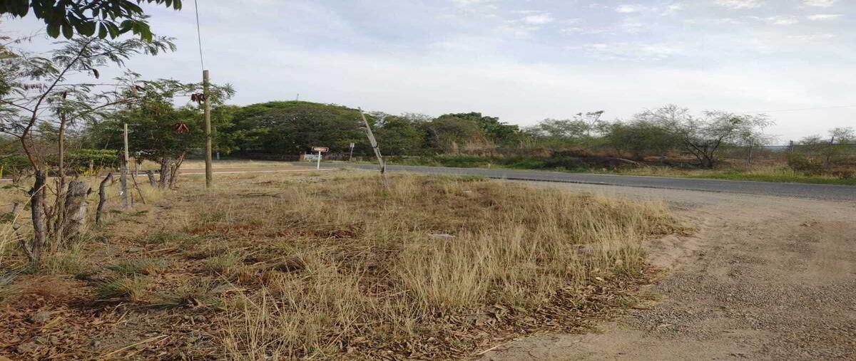 Foto de terreno habitacional en carretera tuxtla -angostura , emiliano zapata, tuxtla gutiérrez, chiapas, 24722397 foto 02 Foto de terreno habitacional en venta en carretera tuxtla -angostura , emiliano zapata, tuxtla gutiérrez, chiapas, 24722397 No. 02