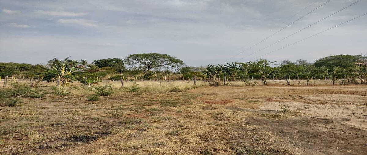 Foto de terreno habitacional en carretera tuxtla -angostura , emiliano zapata, tuxtla gutiérrez, chiapas, 24722397 foto 04 Foto de terreno habitacional en venta en carretera tuxtla -angostura , emiliano zapata, tuxtla gutiérrez, chiapas, 24722397 No. 04