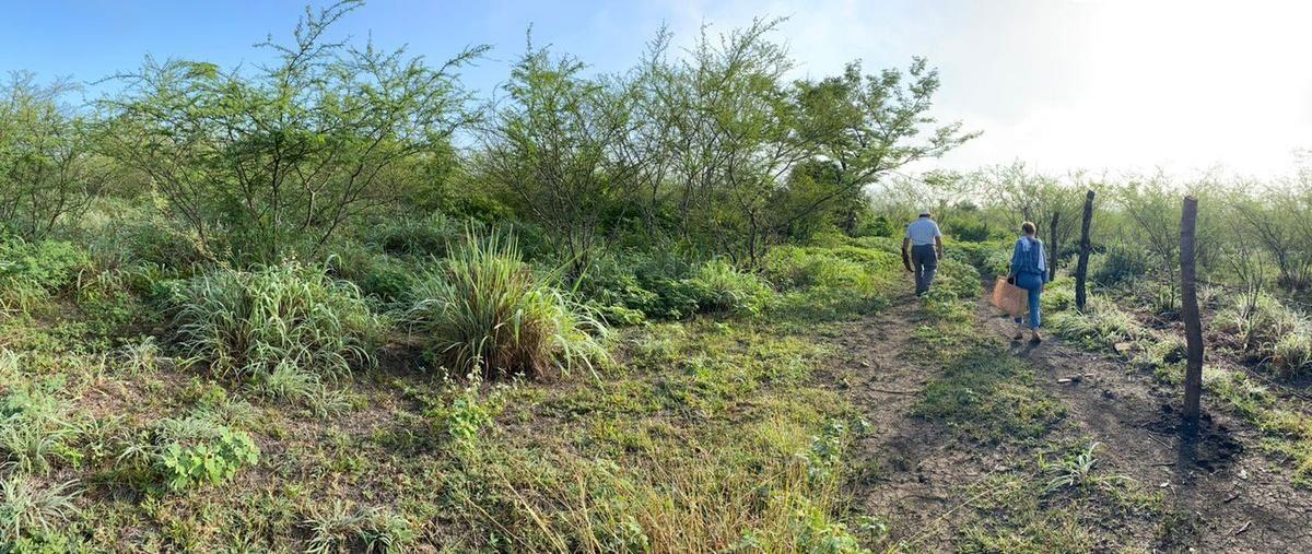 Foto de terreno habitacional en venta en carretera tuxtla- la angostura , américa libre, chiapa de corzo, chiapas, 26452343 No. 03