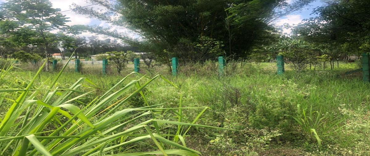 Foto de terreno habitacional en venta en carretera tuxtla- ocozocoautla , armando zebadua, ocozocoautla de espinosa, chiapas, 27489047 No. 03