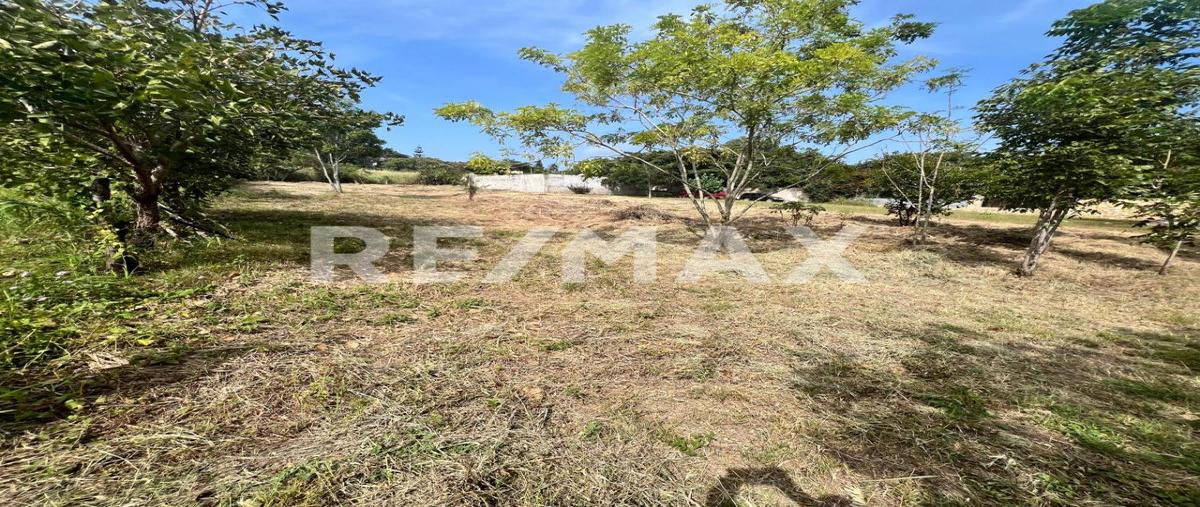 Foto de terreno habitacional en carretera tuxtla-aeropuerto llano san juan , santa inés bellavista, berriozábal, chiapas, 0 foto 04 Foto de terreno habitacional en venta en carretera tuxtla-aeropuerto llano san juan , santa inés bellavista, berriozábal, chiapas, 0 No. 04