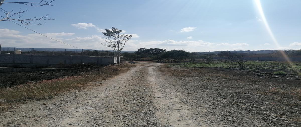 Foto de terreno habitacional en venta en carretera tuxtla-raymundo enrique , club de golf campestre, tuxtla gutiérrez, chiapas, 28176372 No. 03