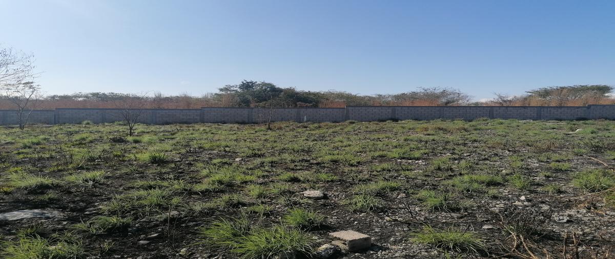 Foto de terreno habitacional en venta en carretera tuxtla-raymundo enrique , club de golf campestre, tuxtla gutiérrez, chiapas, 28176372 No. 05