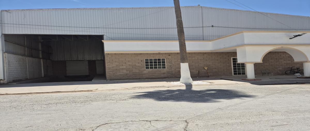 Foto de bodega en renta en carretera unión la partida , providencia, torreón, coahuila de zaragoza, 31461621 No. 03
