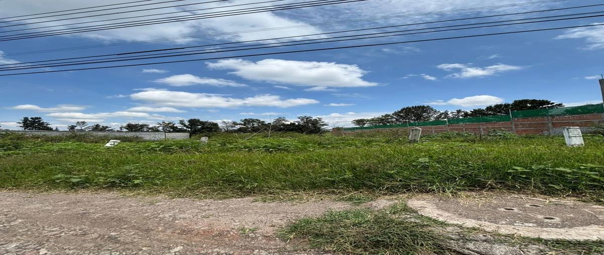 Foto de terreno habitacional en venta en carretera uriangato , atapaneo , atapaneo, morelia, michoacán de ocampo, 0 No. 04