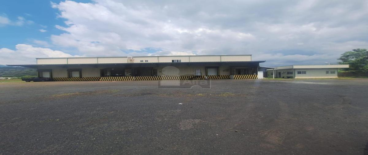Foto de nave industrial en venta en carretera uruapan-taretan 1000, san andres coru, ziracuaretiro, michoacán de ocampo, 30073137 No. 03