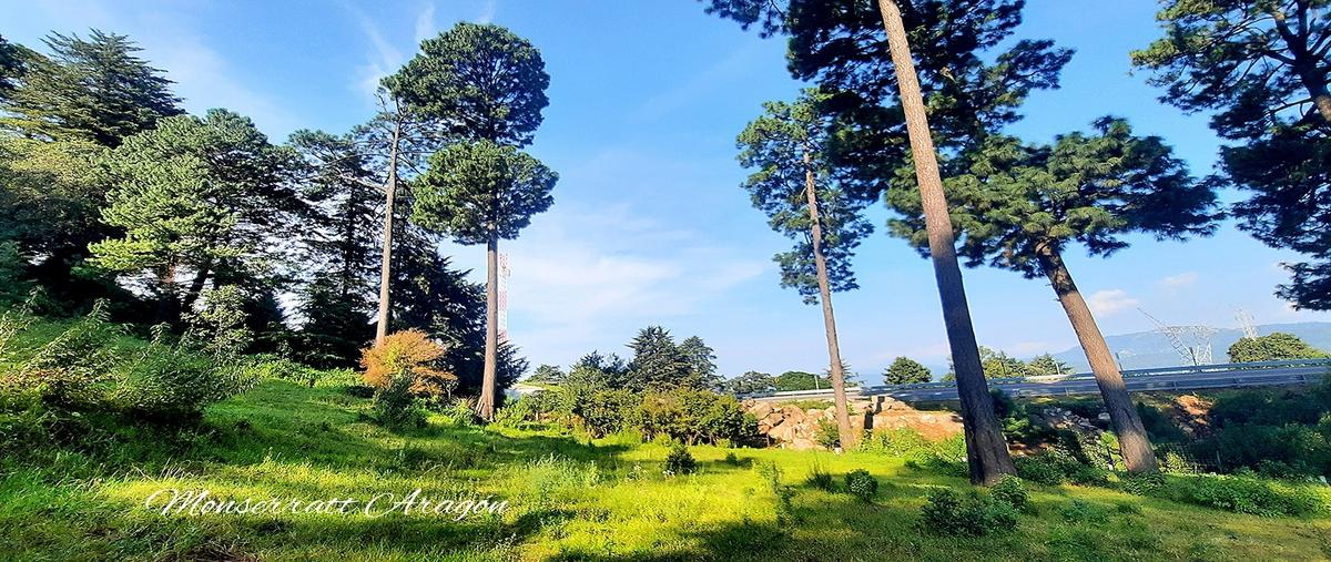 Foto de terreno habitacional en venta en carretera valle -amanalco , pipioltepec, valle de bravo, méxico, 25543048 No. 01