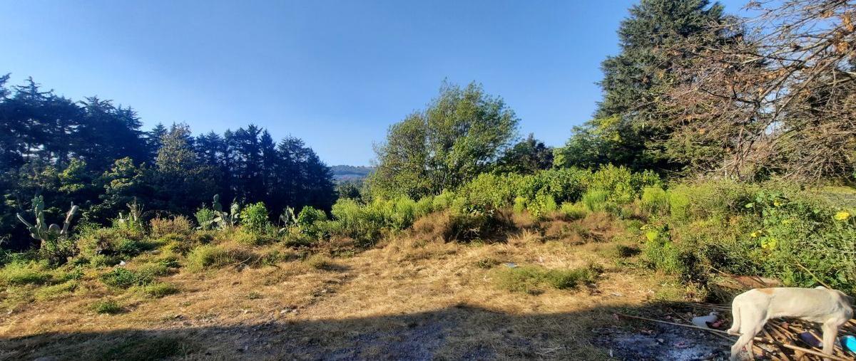 Foto de terreno habitacional en carretera valle- amanalco , san bartolo, amanalco, méxico, 27640611 foto 02 Foto de terreno habitacional en venta en carretera valle- amanalco , san bartolo, amanalco, méxico, 27640611 No. 02