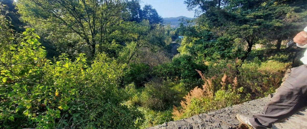 Foto de terreno habitacional en carretera valle- amanalco , san bartolo, amanalco, méxico, 27640611 foto 03 Foto de terreno habitacional en venta en carretera valle- amanalco , san bartolo, amanalco, méxico, 27640611 No. 03