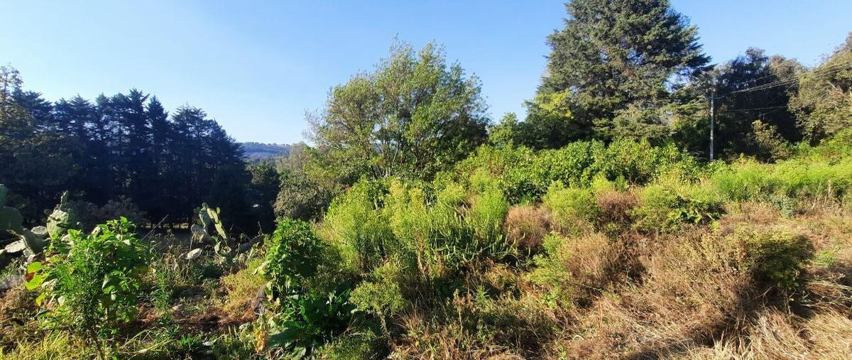 Foto de terreno habitacional en carretera valle- amanalco , san bartolo, amanalco, méxico, 27640611 foto 04 Foto de terreno habitacional en venta en carretera valle- amanalco , san bartolo, amanalco, méxico, 27640611 No. 04