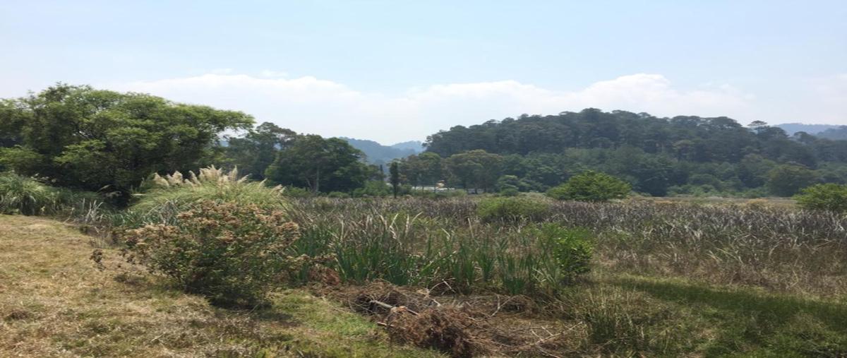 Foto de terreno industrial en venta en carretera valle de bravo - amanalco , amanalco de becerra, amanalco, méxico, 31049531 No. 06