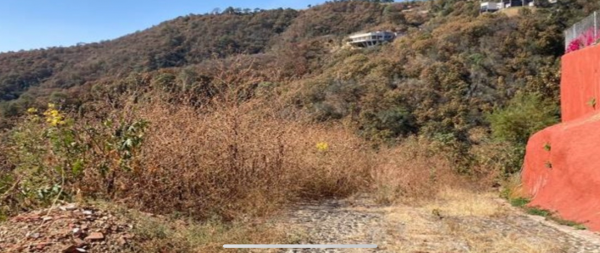 Foto de terreno habitacional en carretera valle de bravo colorines , colorines, valle de bravo, méxico, 23908909 foto 05 Foto de terreno habitacional en venta en carretera valle de bravo colorines , colorines, valle de bravo, méxico, 23908909 No. 05