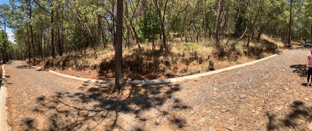 Foto de rancho en venta en carretera valle de juarez , valle de juárez, valle de juárez, jalisco, 0 No. 04