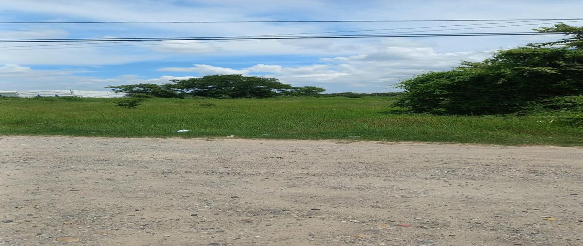 Foto de terreno comercial en carretera valles tampico , confederación nacional campesina (canoas), pánuco, veracruz de ignacio de la llave, 28174702 foto 02 Foto de terreno comercial en venta en carretera valles tampico , confederación nacional campesina (canoas), pánuco, veracruz de ignacio de la llave, 28174702 No. 02