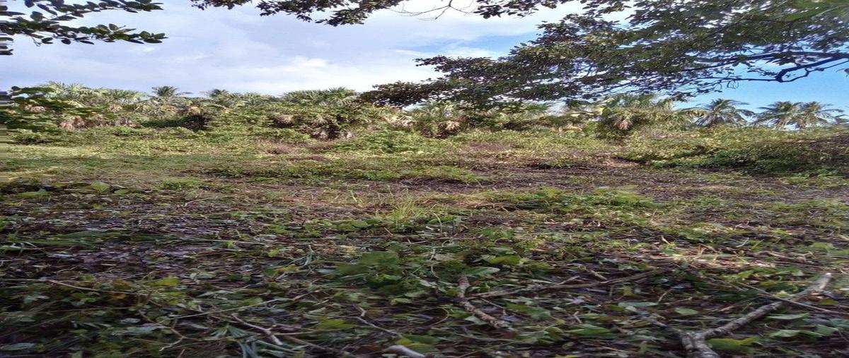 Foto de terreno habitacional en renta en carretera vecinal a monte adentro , quintín arauz, paraíso, tabasco, 0 No. 05