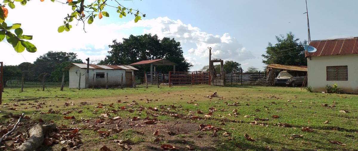 Foto de rancho en carretera vecinal balancan , el barí, balancán, tabasco, 26066475 foto 04 Foto de rancho en venta en carretera vecinal balancan , el barí, balancán, tabasco, 26066475 No. 04